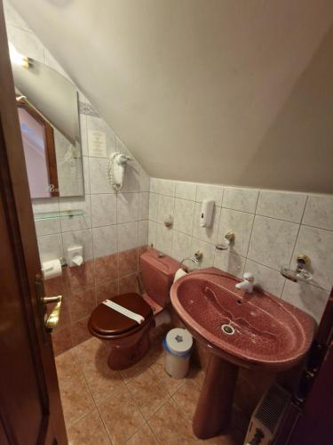 a bathroom with a sink and a toilet at Hotel Razgorsek in Velenje