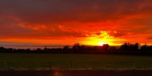 a sunset over a field with the sun setting at Lough View in Aldergrove