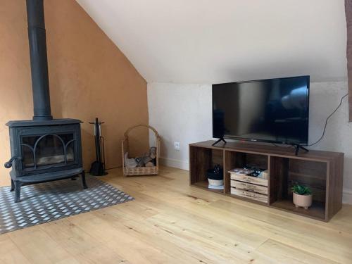 a living room with a television and a fireplace at La Grange du Domaine in Saint-Maden