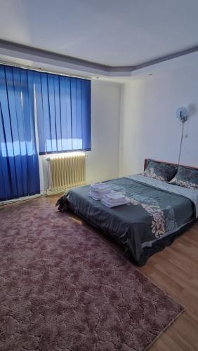 Postel nebo postele na pokoji v ubytování Apartament Drăgășani