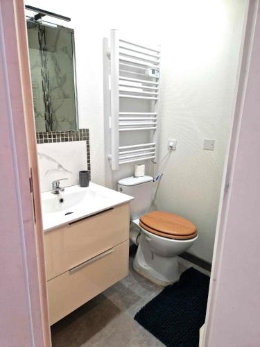 une salle de bain avec toilettes et lavabo dans l'établissement 08 - Très joli studio tout équipé avec parking privatif gratuit, grand fourgon possible, tout le linge de maison est fourni, à Razac-sur-lʼIsle