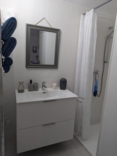 une salle de bain blanche avec un lavabo et un miroir dans l'établissement Au coeur du maquis Sartenais, à Granace