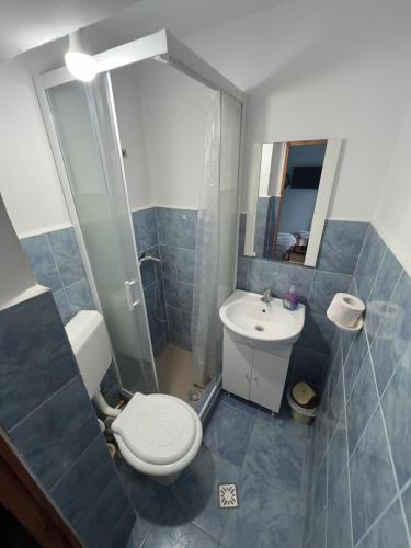 ein Badezimmer mit Toilette und Waschbecken in der Unterkunft Vila Movilă in Azuga