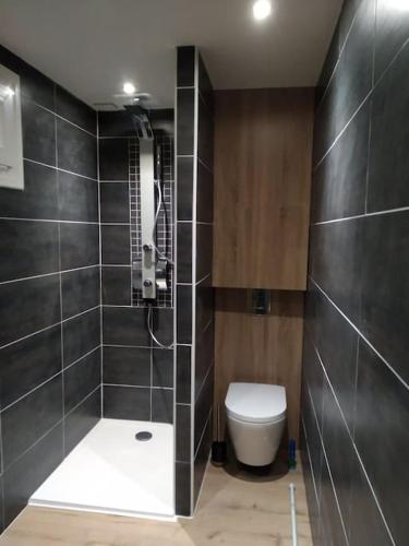 une salle de bain avec toilettes et douche dans l'établissement Appartement deux chambres au pied de la dune, à Lacanau