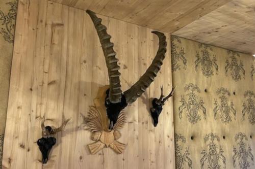 Imagen de la galería de LOU Chalet Apartment Luis, en Reith bei Seefeld