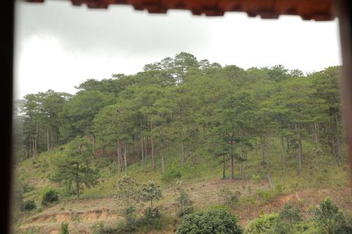a hill with a forest of trees on it at Gỗ Home in Ðinh An (2)