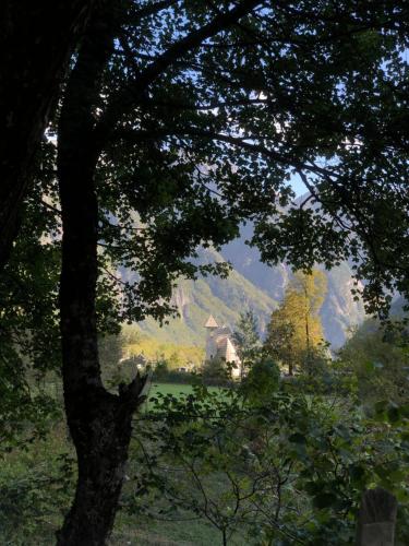 a view of a mountain from under a tree at Bujtina Pllumi Theth in Theth