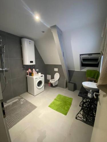 La petite salle de bains est pourvue d'un lavabo et d'un lave-linge. dans l'établissement Appartement tranquille, à Luttenbach-près-Munster