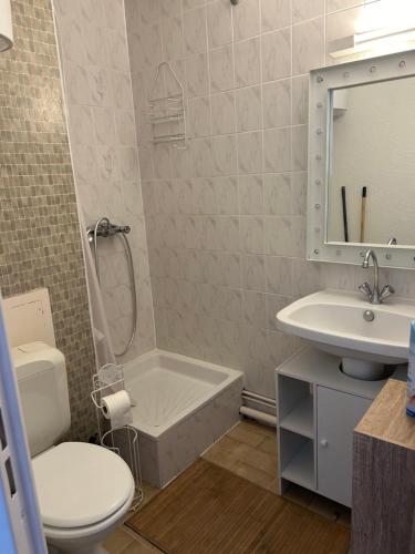 Magnifique appartement grau du roi