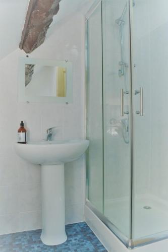 une salle de bain avec un lavabo et une douche en verre dans l'établissement La Maison Neuve Gîtes, à Madré