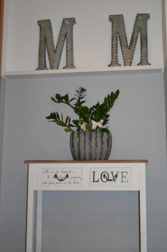 a table with a potted plant on top of it at Double M Apartment in Seligenstadt