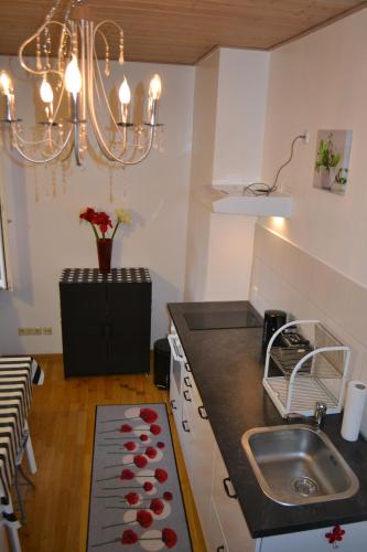 a kitchen with a sink and a stove top oven at Double M Apartment in Seligenstadt