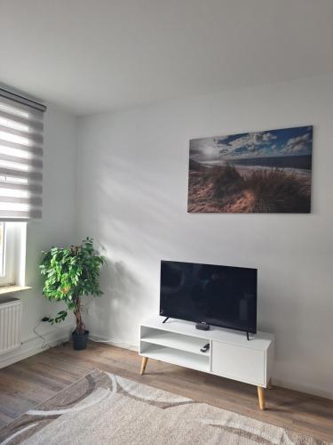 TV a/nebo společenská místnost v ubytování Brigg