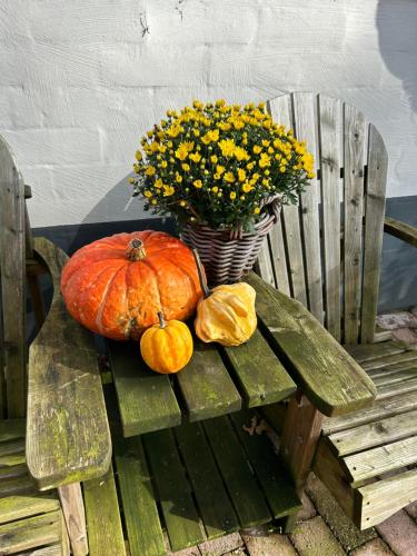 a large pumpkin and a vase of flowers on a bench at Heikant Hoeve met Jacuzzi in Baarle-Nassau