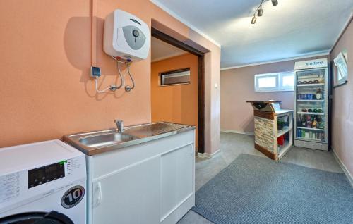 Η κουζίνα ή μικρή κουζίνα στο Awesome Home In Vinica Breg With Wifi