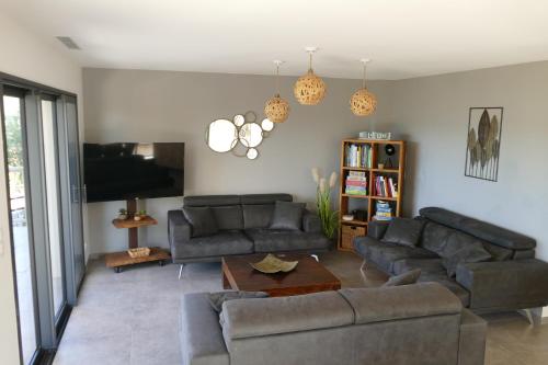 un salon avec deux canapés et une télévision dans l'établissement Les Terrasses du Salagou - Superbe vue sur le lac, à Liausson