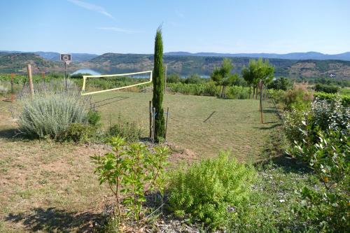 un jardin avec un cactus et un but dans l'établissement Les Terrasses du Salagou - Superbe vue sur le lac, à Liausson