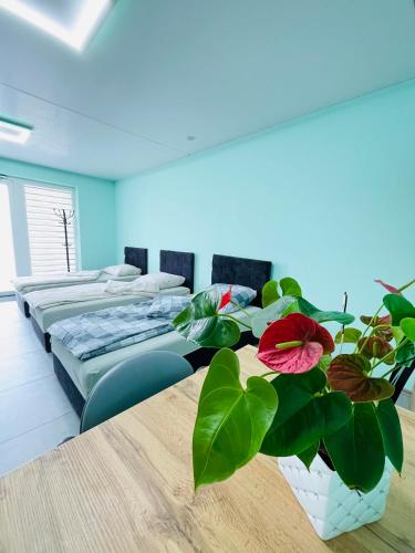 Ein Bett oder Betten in einem Zimmer der Unterkunft Kwatera - Pod Wiatrakiem, JACUZZI ZEWNĘTRZNE