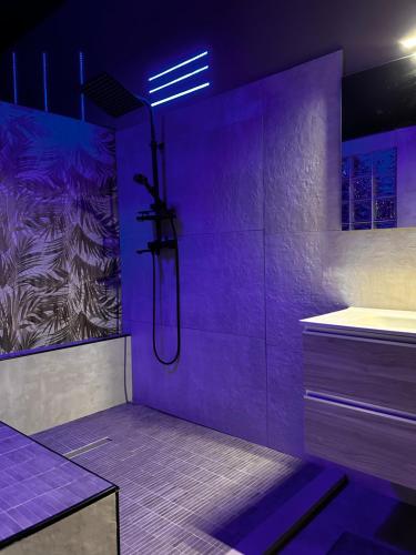 a purple bathroom with a shower with purple lighting at TownHouse Piraino B&B in Brolo