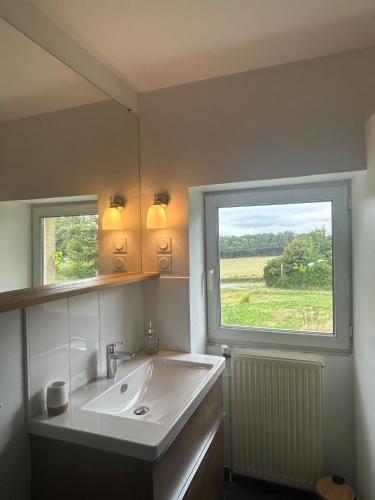 une salle de bain avec un lavabo et une grande fenêtre dans l'établissement Maison Le Nid aux Alpes Mancelles, à Moulins-le-Carbonnel