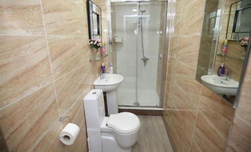 a bathroom with a toilet and a shower and a sink at Glasgow South Studio in Glasgow