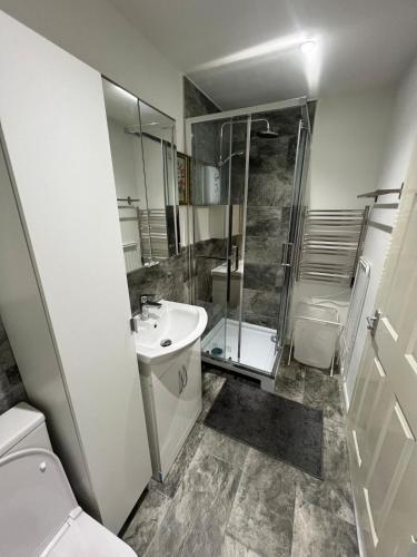 a bathroom with a toilet and a sink and a shower at Franky's Place luxury apartment in The Hyde