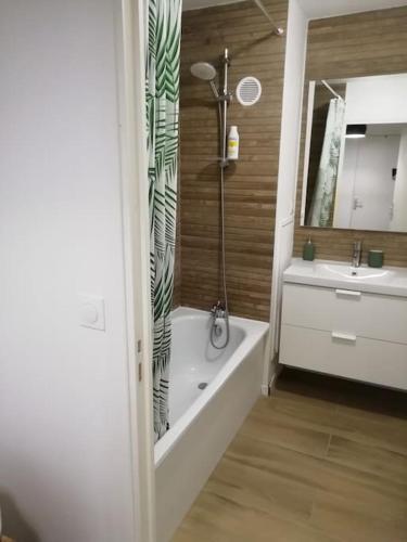 une salle de bain avec une baignoire et un lavabo dans l'établissement Appartement avec 2 chambres et parking privé, à Lille