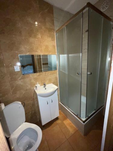a bathroom with a shower and a toilet and a sink at Myśliwskie Smaki U Tadka in Czeczewo