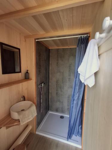 La petite salle de bains est pourvue d'une douche et d'un lavabo. dans l'établissement Chalets de l'Oasienne, à Lissac et Mouret