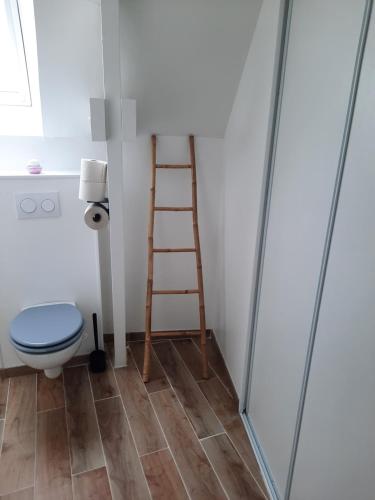 a bathroom with a ladder next to a toilet at Duplex avec vue sur mer-La Rose des Vents in Saint-Côme-de-Fresné