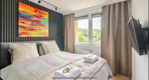 Oliwa luxury apartment, free parking, high speed internet