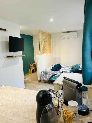 une chambre avec deux lits et une télévision à écran plat dans l'établissement Charmant studio en centre-ville, à Céret