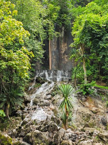 a waterfall in the middle of a forest at Puprai Tarnnarm Resort in Thong Pha Phum