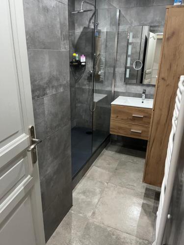 une salle de bain avec douche et lavabo dans l'établissement Écrin de verdure, à La Tour-de-Salvagny