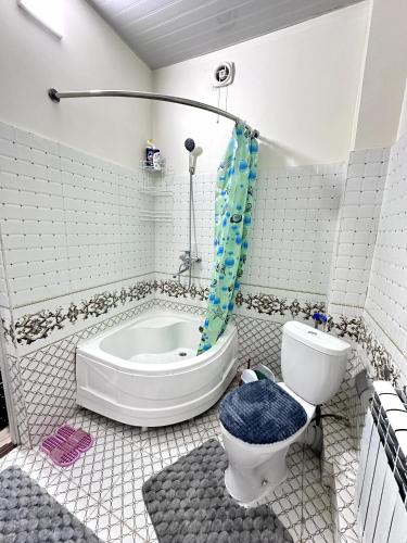 a bathroom with a bath tub and a toilet and a bath tub at Apartment ART HOUSE in Khiva
