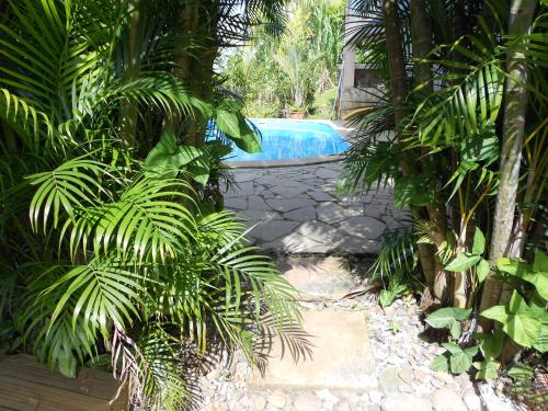 Kolam renang di atau dekat dengan Laur'ki'dé