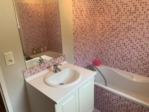a bathroom with a sink and a bath tub at Vacances et travail in Serrières-de-Briord