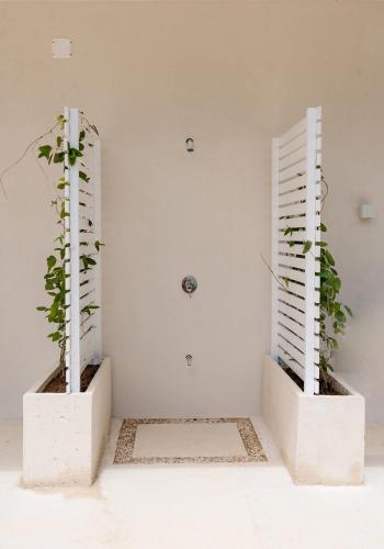 two potted plants sitting in a white room at Secluded Luxury Mansion with Sleek, Modern Design, High-End Amenities, and Spectacular Views in Carpintero