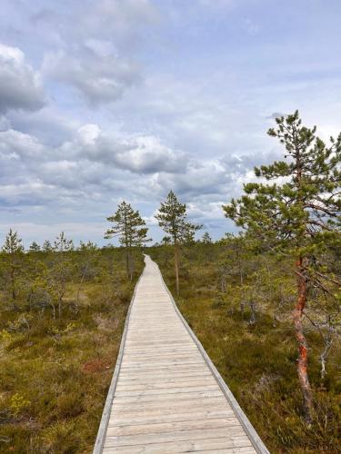 a wooden boardwalk in the middle of a field at Loksahome apartmens in Loksa