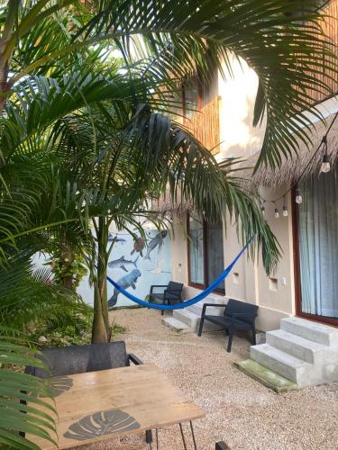 a hammock in front of a building with a palm tree at Hotel Pelecanus Suites Holbox in Holbox Island