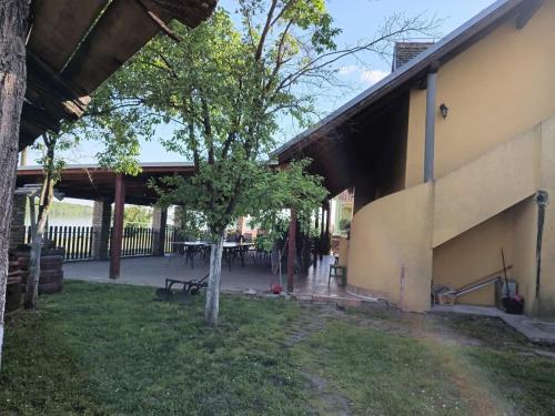 a tree in a yard next to a building at Holiday house with a parking space Dalj, Slavonija - 22471 in Dalj