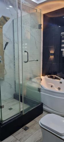 OtokutuLuxurious Apartment的带淋浴、马桶和浴缸的浴室
