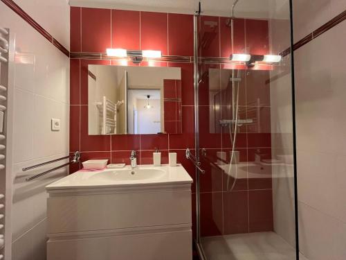 une salle de bain avec un lavabo et un miroir dans l'établissement T2 cabine avec Wi-Fi proche centre et plage à Arcachon - FR-1-319-581, à Arcachon