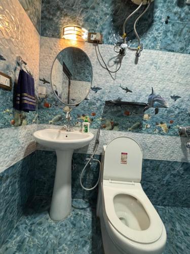 ダルムシャーラにあるEvergreen apartmentsのトイレ、洗面台、鏡を備えたバスルーム