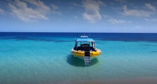 a yellow boat in the water in the ocean at Alena Star House, Eco Retreat With Pool, Prime Position in Cape Tribulation