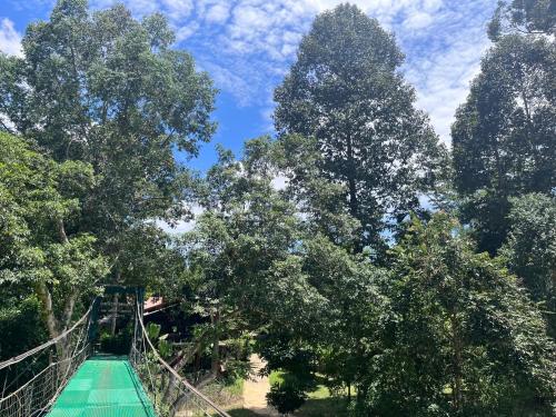 a zip line in the middle of the trees at Khlong sok camp in Ban Chieo Mon