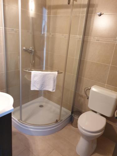 a bathroom with a shower with a toilet and a sink at Aranydukát Vendégház Tállya in Tállya