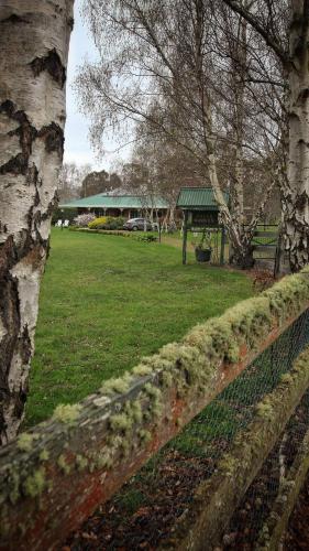 Green Gables B&B Waterfront Apartment with King Bed & Breakfast in Huon Valleyにある庭