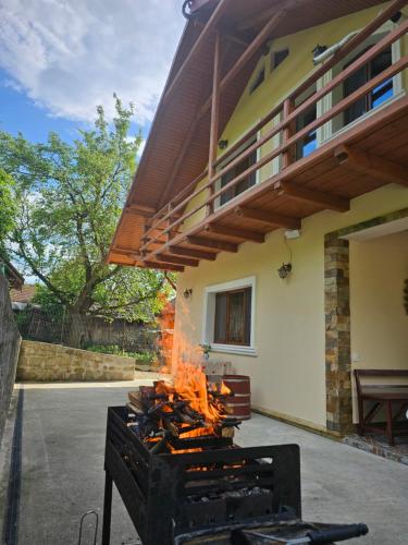 a fire pit in front of a house at Casa Hera in Călimăneşti