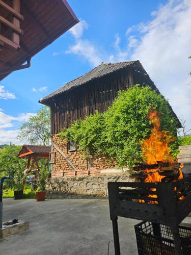a fire pit in front of a building at Casa Hera in Călimăneşti
